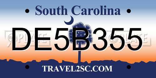 DE5B355 South Carolina License Plate