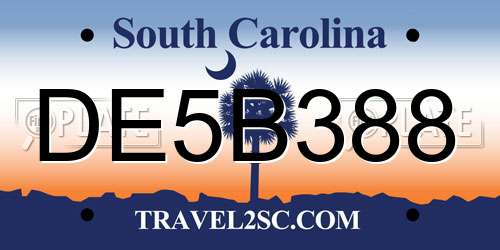 DE5B388 South Carolina License Plate