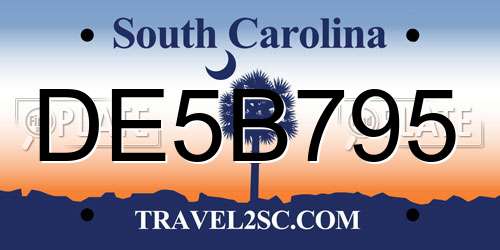 DE5B795 South Carolina License Plate