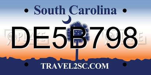 DE5B798 South Carolina License Plate