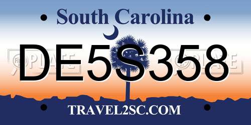 DE5S358 South Carolina License Plate