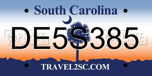 DE5S385 South Carolina License Plate
