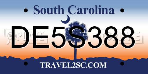 DE5S388 South Carolina License Plate