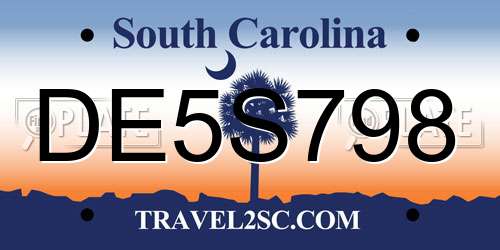 DE5S798 South Carolina License Plate