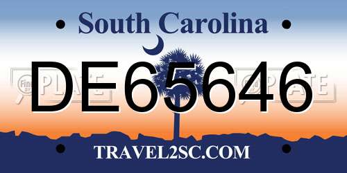 DE65646 South Carolina License Plate
