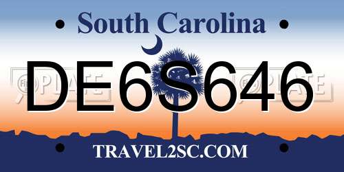 DE6S646 South Carolina License Plate