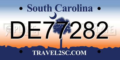 DE77282 South Carolina License Plate