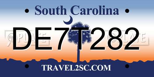 DE7T282 South Carolina License Plate