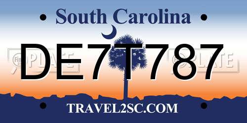 DE7T787 South Carolina License Plate