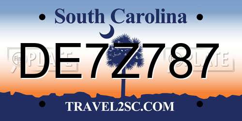 DE7Z787 South Carolina License Plate