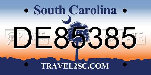 DE85385 South Carolina License Plate