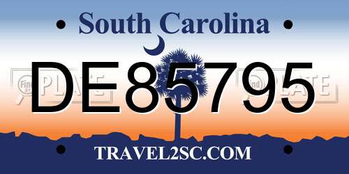 DE85795 South Carolina License Plate