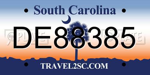 DE88385 South Carolina License Plate