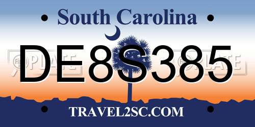 DE8S385 South Carolina License Plate