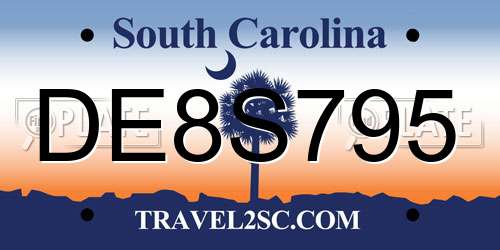 DE8S795 South Carolina License Plate