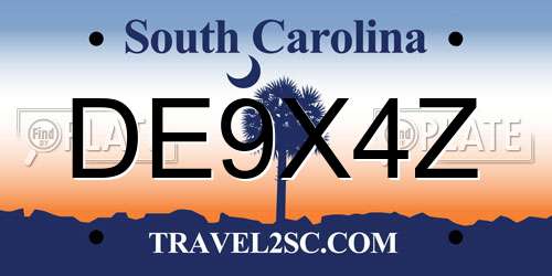 DE9X4Z South Carolina License Plate