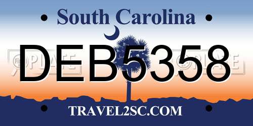 DEB5358 South Carolina License Plate