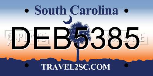 DEB5385 South Carolina License Plate