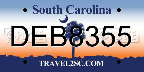 DEB8355 South Carolina License Plate