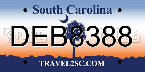 DEB8388 South Carolina License Plate