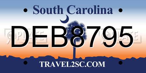 DEB8795 South Carolina License Plate