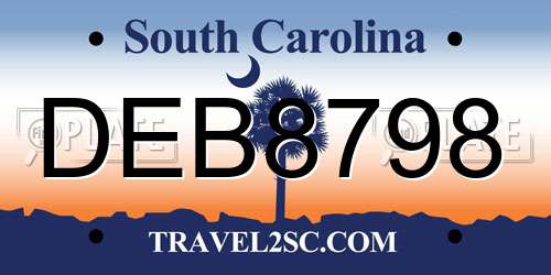 DEB8798 South Carolina License Plate