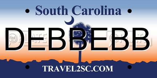 DEBBEBB South Carolina License Plate