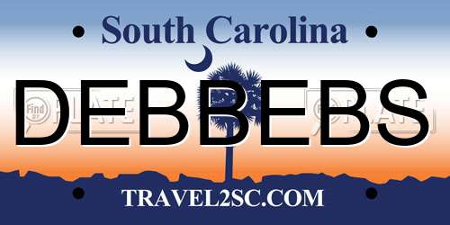DEBBEBS South Carolina License Plate