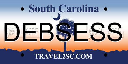 DEBSESS South Carolina License Plate