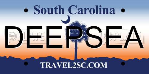 DEEPSEA South Carolina License Plate