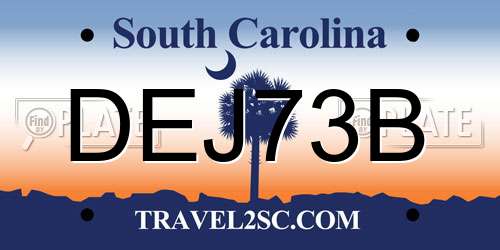 DEJ73B South Carolina License Plate