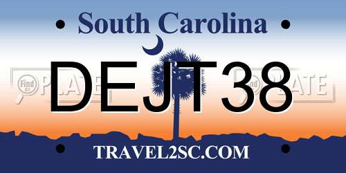 DEJT38 South Carolina License Plate