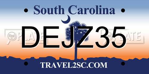 DEJZ35 South Carolina License Plate