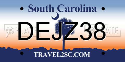 DEJZ38 South Carolina License Plate
