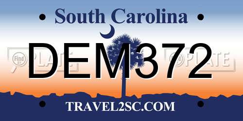 DEM372 South Carolina License Plate
