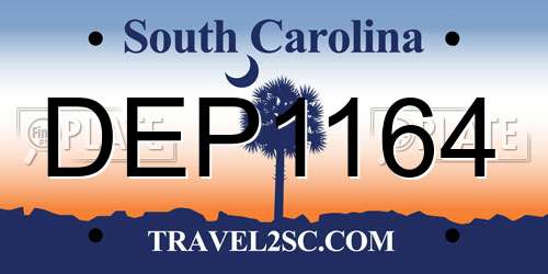 DEP1164 South Carolina License Plate