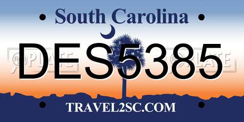 DES5385 South Carolina License Plate