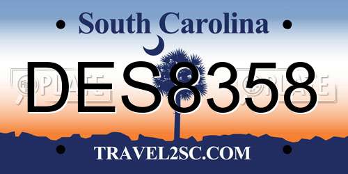 DES8358 South Carolina License Plate