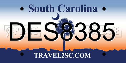 DES8385 South Carolina License Plate