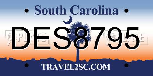 DES8795 South Carolina License Plate