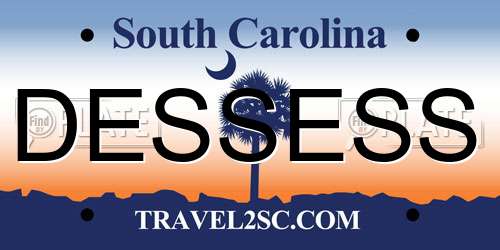 DESSESS South Carolina License Plate
