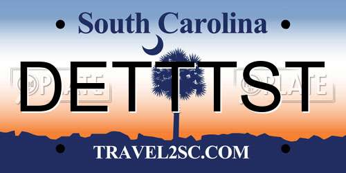 DETTTST South Carolina License Plate