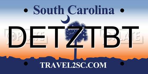 DETZTBT South Carolina License Plate