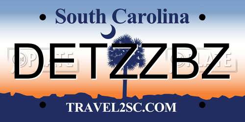 DETZZBZ South Carolina License Plate