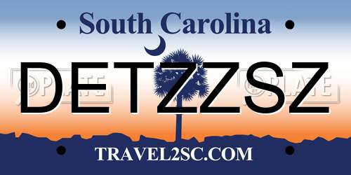 DETZZSZ South Carolina License Plate