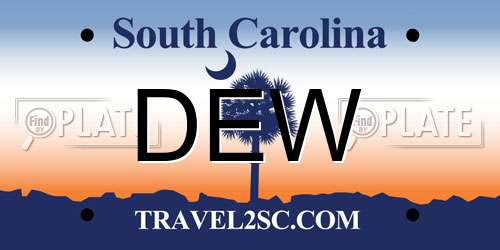 DEW South Carolina License Plate