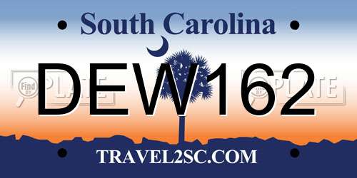 DEW162 South Carolina License Plate