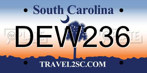 DEW236 South Carolina License Plate