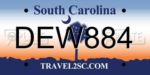 DEW884 South Carolina License Plate