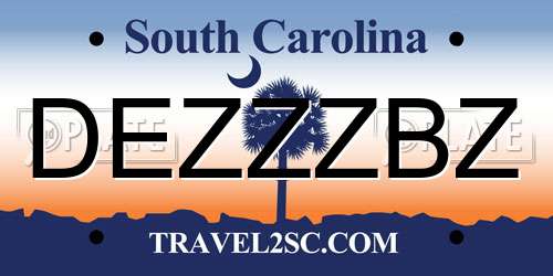 DEZZZBZ South Carolina License Plate